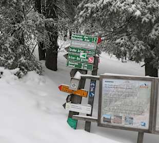 Wegmarkierung im Wald Richtung Bodenmais