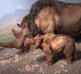 Ausstellung Eis Safari