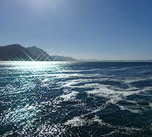 Whale Watching Hermanus