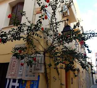 Altstadtimpressionen