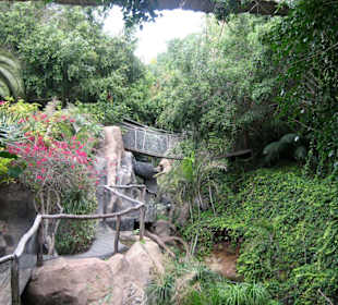 Jungle Park