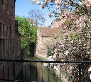 Malerischer Blick von der Brücke