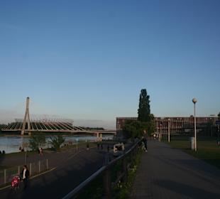 Powiśle