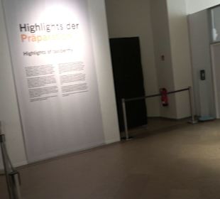 Museum für Naturkunde