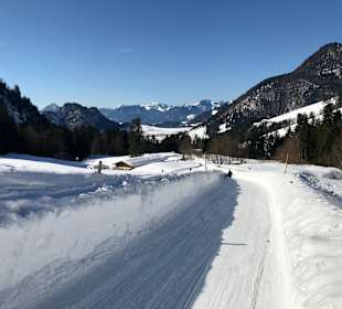 Skifahren