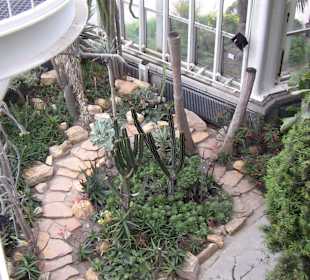 Palme