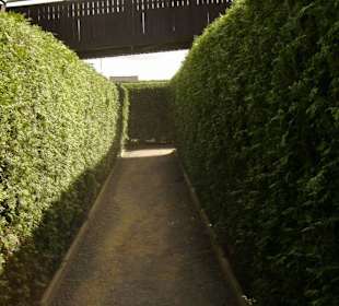 Weg durch den Irrgarten