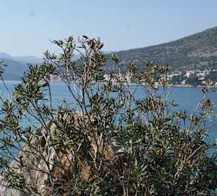 Wandern Dubrovnik