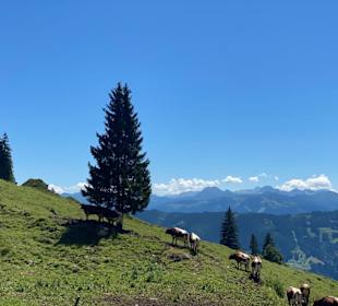 Landschaft Hochkönig