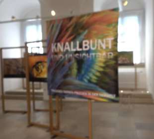 Museum für Ur- und Frühgeschichte