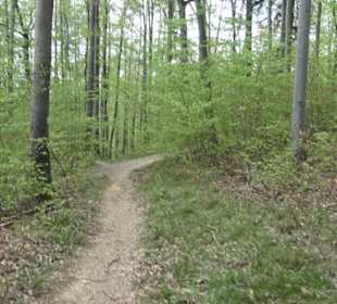 Wanderweg Firstwaldrunde