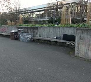 Stadtgarten Stuttgart