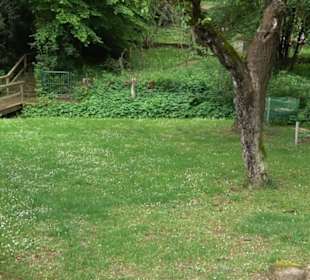 Naturinfopfad Weggental