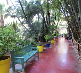 Eindrücke aus dem Jardin Majorelle Garten