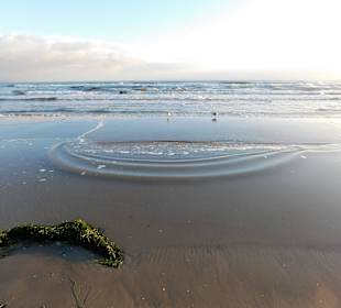 Binz erwacht