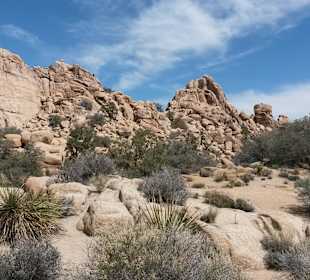 Joshua Tree National Park