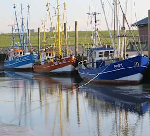Kutterhafen