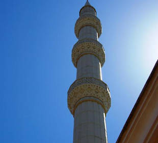 Die Moschee mit Rückfahrt Manavgat