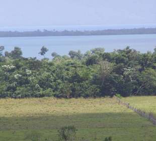 Blick auf den Nationalpark Los Haitises