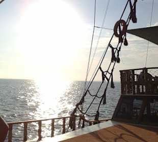 Taumhafter Anblick