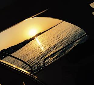 Delfinausflug mit Mo