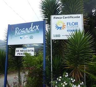 Eingang zur Rosenfarm