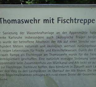 Infotafeln an der Alb