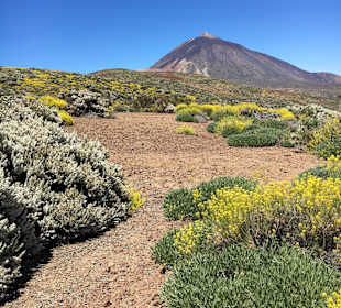 Blick auf den Teide