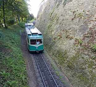 Drachenfelsbahn 