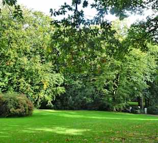 Rundgang durch Knoops Park im Herbst