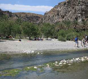 Palmenstrand von Preveli