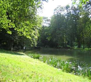 Ein kleiner grüner Fluss im Park.