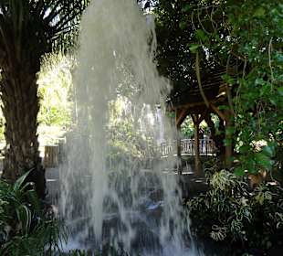 Impressionen aus dem Jardin Botanique de Deshaies