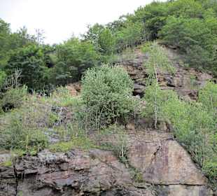 Valea Oltului / Olt-Tal 