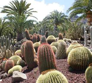 Kakteenpark