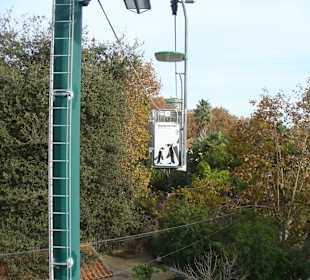Seilbahn über dem Zoo