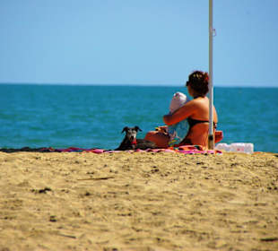 Der Hundestrand dei Pini