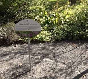 Botanischer Garten München