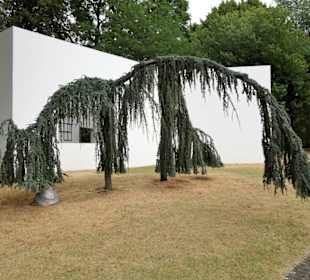 Rundgang durch den Skulpturenpark Köln