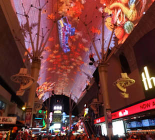 Zip Line über der Fremont Street