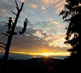 Kletterwald Bärenfalle