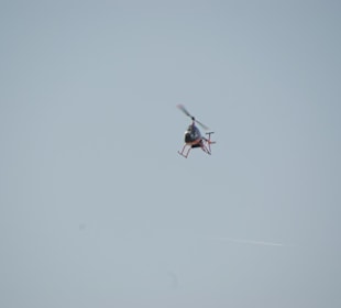 Fliegen auch ständig rum