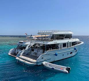 Schnorcheln Makadi Bay