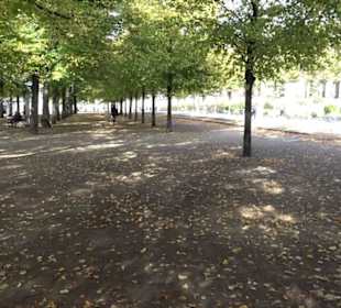 Lustgarten