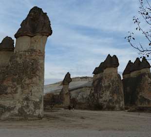 Der kleine sieht aus wie ein Hasenkopf