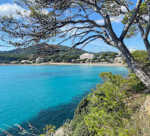 Strand Canyamel