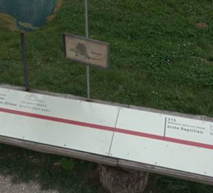 Dinosaurier Museum Altmühltal