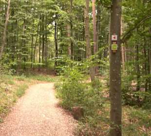 Hochgeträumt Premiumwanderung