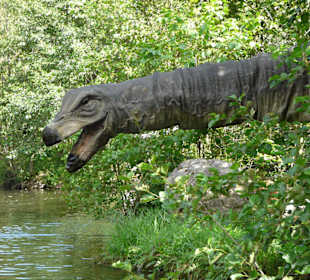 Oh da ist ja noch ein Dino