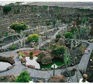 Jardin de Cactus